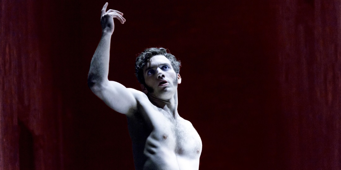 Intorno a Don Carlos