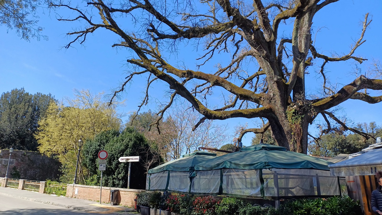 Leccio Fortezza Medicea