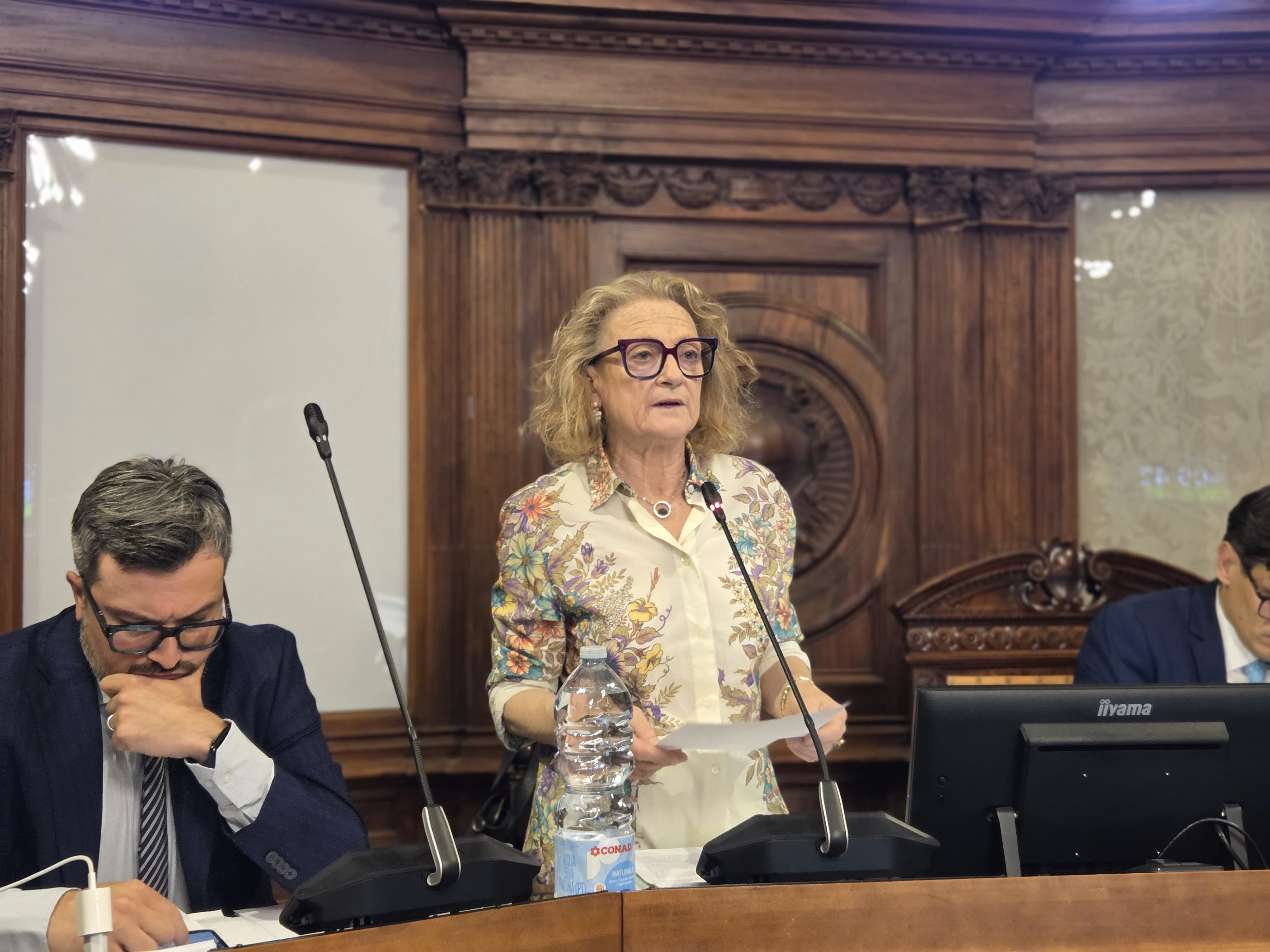 fabio consiglio comunale