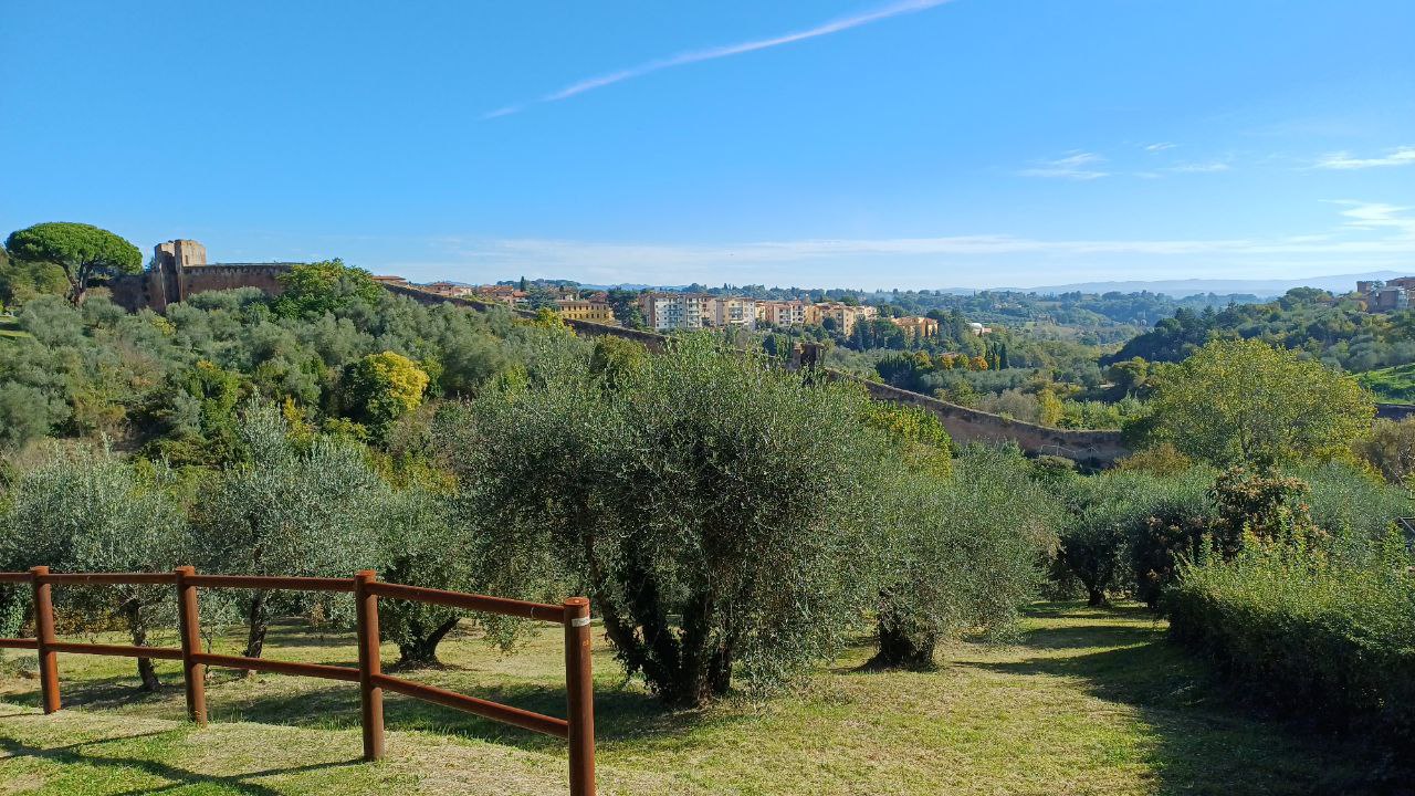 Valli verdi Siena