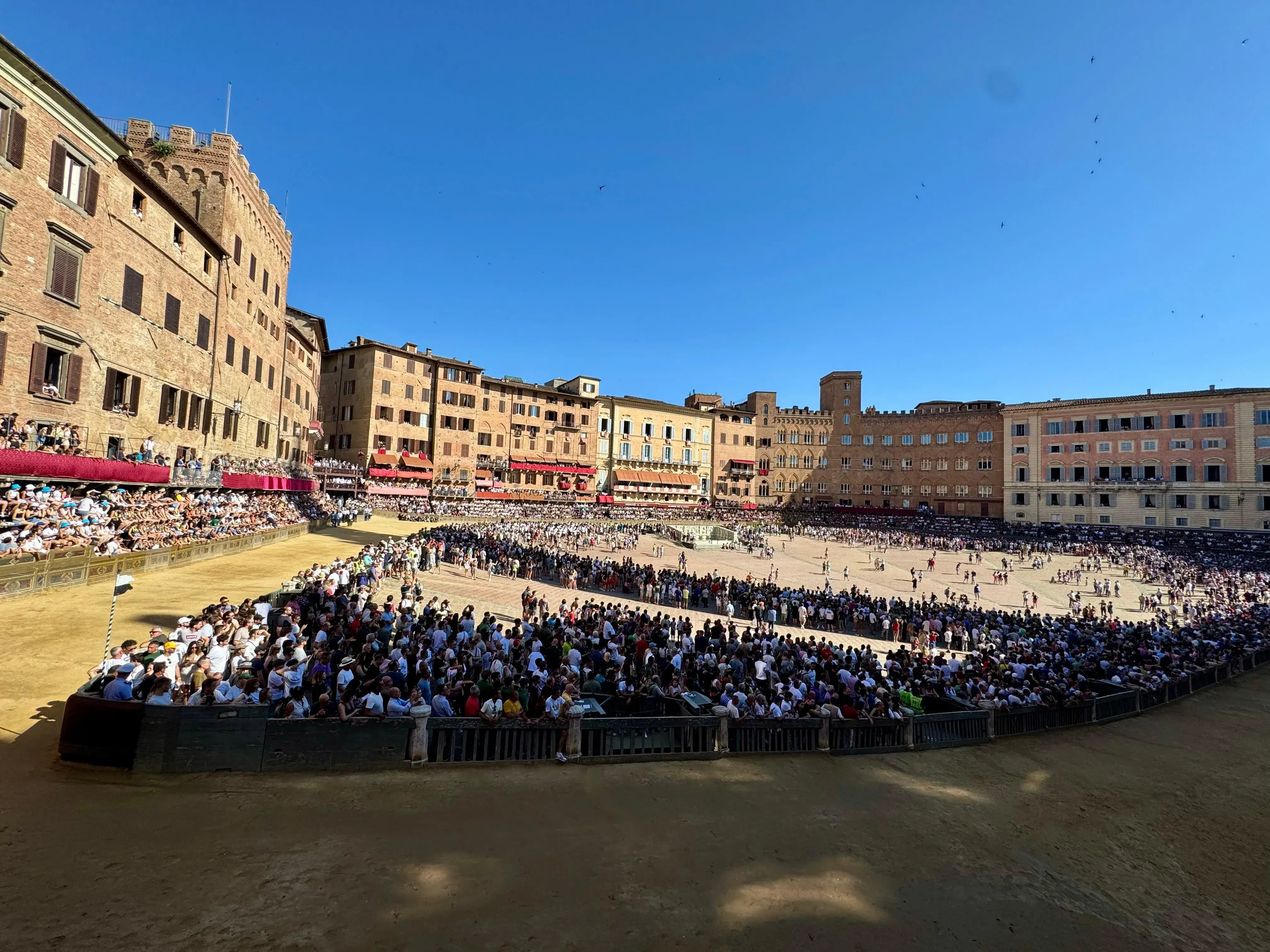 prove palio