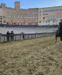 Palio - prove regolamentate