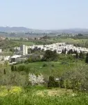 Utilizzo Autorizzato ERP