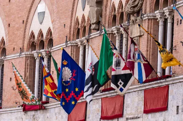 bandiera verde